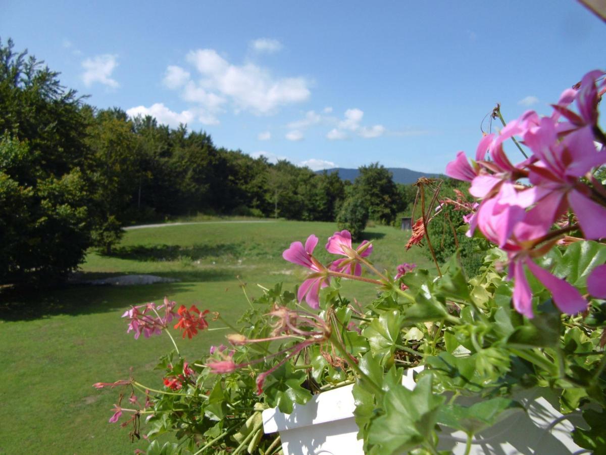 ラストヴァチャ ハウス ビバ ＆ レオナ Bed & Breakfast エクステリア 写真