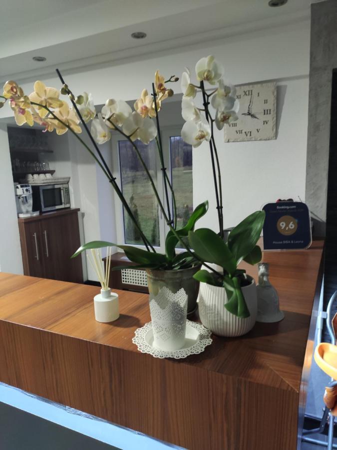 ラストヴァチャ ハウス ビバ ＆ レオナ Bed & Breakfast エクステリア 写真